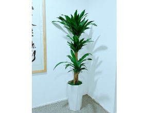 青铁