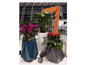 植物造景