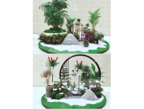 植物造景