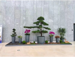植物造景