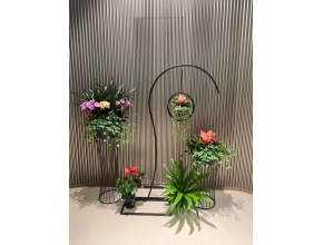 植物造景