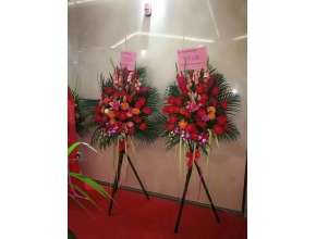 开业花篮、台花及鲜切花