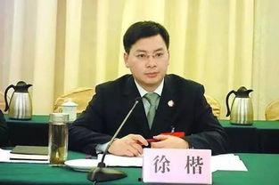 徐凯爆料新闻视频,揭秘新闻背后的真相