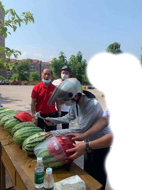 焦作最新吃瓜事件,揭秘网络热议背后的真相