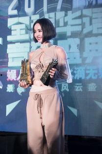 世界明星伴奏视频,音乐盛宴中的璀璨星光