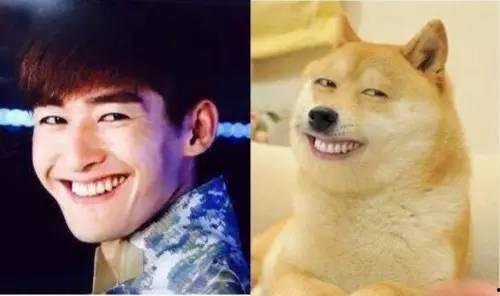 明星长得像动物,盘点那些长得像动物的明星