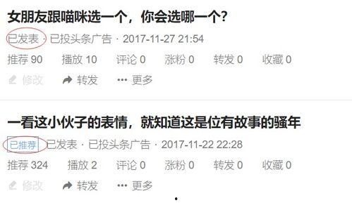 有人在头条里发歌词吗,头条里的音乐共鸣时刻