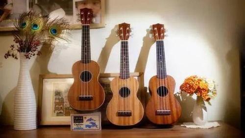 最网红的乐器叫什么,探寻最火热的音乐神器