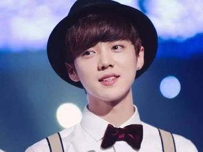 toyboy明星,闪耀时尚界的魅力偶像