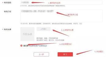 个人开通头条自媒体,我的头条自媒体成长之路