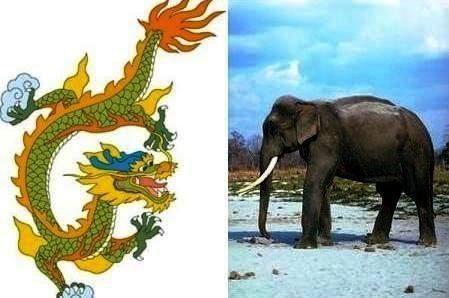 龙象头条,揭秘行业动态，洞察市场趋势