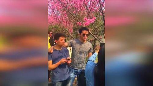 梦到给网红拍照,一场梦境中的摄影之旅