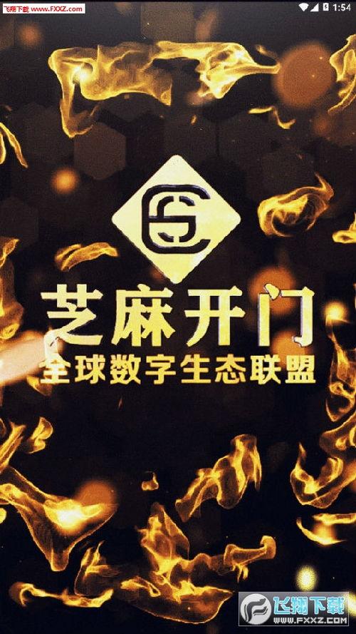 在线观看芝麻开门,揭秘网络直播的奇幻世界