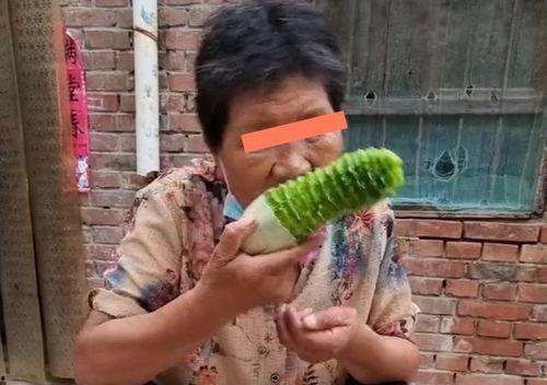 吃瓜把嘴巴吃流血了,嘴巴吃出血的尴尬经历