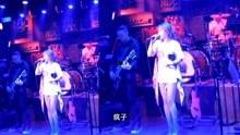 网红大狗在酒吧唱歌