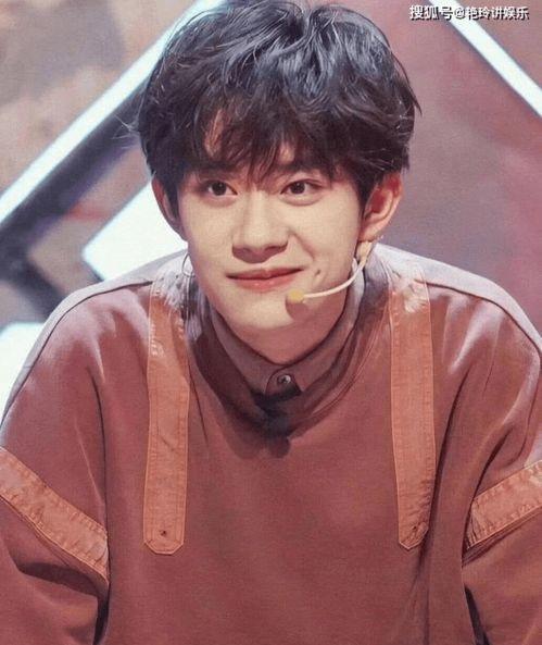 小男明星,小男明星的成长之路