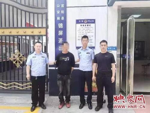 宜阳区锦屏镇新闻头条,聚焦乡村振兴新篇章