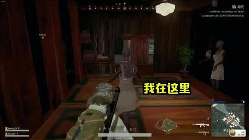 带你吃瓜鬼屋,带你吃瓜鬼屋大揭秘