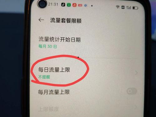 头条办流量套餐多少钱,性价比哪家强？”