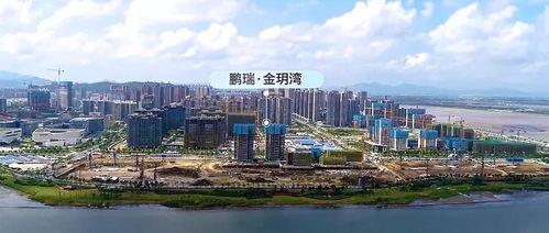 今日头条珠海金湾,创新驱动发展，打造湾区新引擎