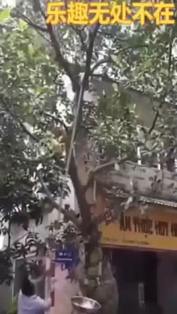 明星翻车的感觉真好,意外成真，原来感觉真好