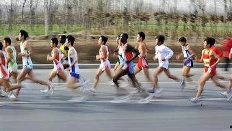 哪个明星跑外场最厉害,揭秘哪位明星外场表现最惊艳