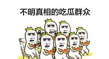 看热闹吃大瓜,瓜分欢乐盛宴！