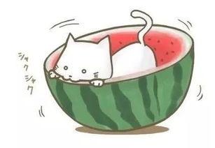 遇见吃瓜,揭秘网络热点的背后故事