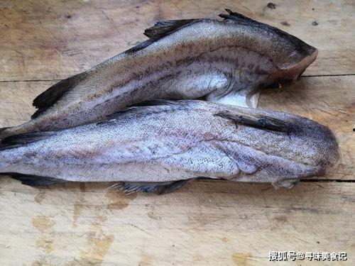 吃瓜鱼主任医师,揭秘健康饮食的秘诀