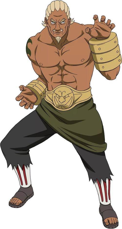 达鲁伊五代雷影爆料视频,揭秘神秘忍者世界与全新技能体系