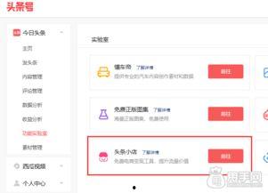 头条里怎么申请小店,头条小店申请指南，开启电商新篇章