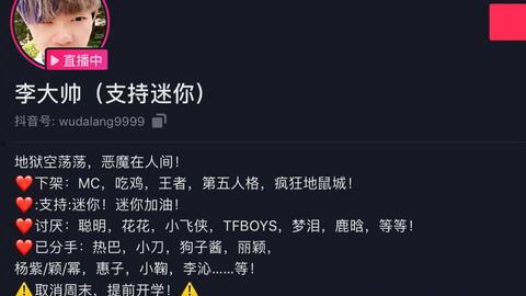 网红李大帅,网红界的璀璨明星，揭秘他的爆红之路