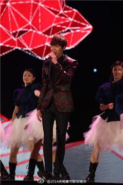 央视春晚韩国明星