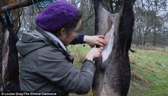 打猎吃瓜的电影,银幕上的打猎与瓜田奇遇