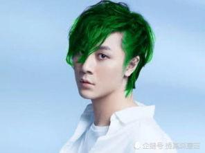 哪个明星带奕,闪耀舞台的璀璨之星