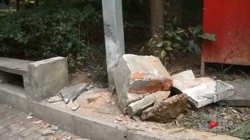 车翻了路边吃瓜,围观群众“吃瓜”现场直击