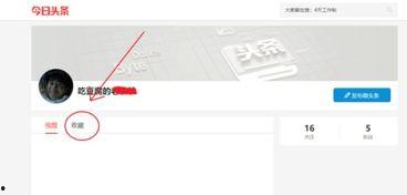 头条中收藏怎么查,轻松获取您的收藏文章概览”