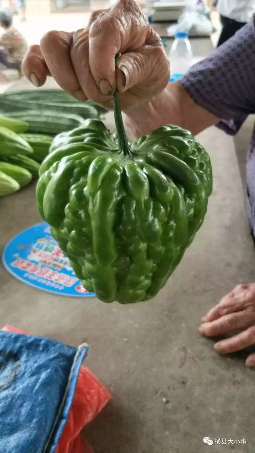 临沂最新瓜爆料,揭秘临沂最新热点事件内幕