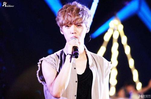 大明星 牛鹿,闪耀娱乐圈的璀璨明星