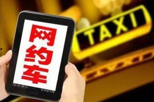 哈尔滨网约车爆料新闻,真相与反思