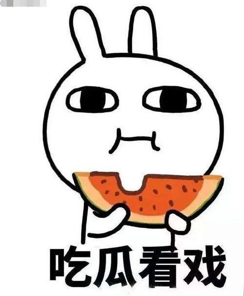 爆笑修仙吃瓜小说,修仙界的吃瓜日常